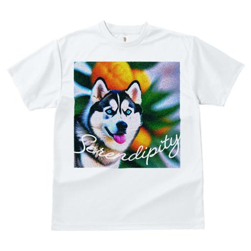 Tシャツ レディース 犬ファン 半袖 春夏 プリント カジュアル かわいい 人間用 フィットネス 背景 シベリアンハスキー