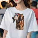 Tシャツ レディース 犬ファン 半袖 春夏 プリント カジュアル かわいい 人間用 フィットネス サルーキ(4)