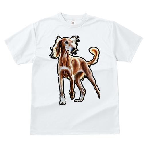 Tシャツ レディース 犬ファン 半袖 春夏 プリント カジュアル かわいい 人間用 フィットネス なし サルーキ