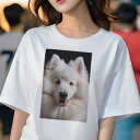 アメリカンエスキモードッグ Tシャツ 犬愛 ユニークデザインレディース 犬ファン 半袖 春夏 プリント カジュアル かわいい 人間用 ギフト 個性的 ふわふわ アメリカンエスキモードッグ かわいい 犬の顔 ペット(4)
