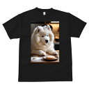サモエド Tシャツ 犬愛 ユニークデザインメンズ キッズ 犬ファン 半袖 春夏 プリント カジュアル かわいい 人間用 ギフト 個性的 クッキー サモエド 小麦粉
