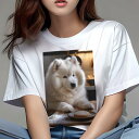サモエド Tシャツ 犬愛 ユニークデザインレディース 犬ファン 半袖 春夏 プリント カジュアル かわいい 人間用 ギフト 個性的 クッキー サモエド 小麦粉