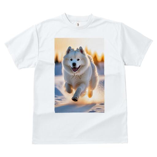 サモエド Tシャツ 犬愛 ユニークデザインレディース 犬ファン 半袖 春夏 プリント カジュアル かわいい 人間用 ギフト 個性的 雪 サモエド 冬 日光
