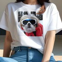 シーズー Tシャツ 犬愛 ユニークデザインレディース 犬ファン 半袖 春夏 プリント カジュアル かわいい 人間用 ギフト 個性的 スキー シーズー 冬 雪 スキーウェア(4)