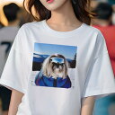 シーズー Tシャツ 犬愛 ユニークデザインレディース 犬ファン 半袖 春夏 プリント カジュアル かわいい 人間用 ギフト 個性的 スキー シーズー 冬 雪 山