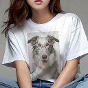 ボーダーコリー Tシャツ 犬愛 ユニークデザインレディース 犬ファン 半袖 春夏 プリント カジュアル かわいい 人間用 ギフト 個性的 メガネ ボーダーコリー