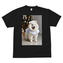 サモエド Tシャツ 犬愛 ユニークデザインメンズ キッズ 犬ファン 半袖 春夏 プリント カジュアル かわいい 人間用 ギフト 個性的 クリスマスツリー サモエド プレゼント