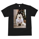 サモエド Tシャツ 犬愛 ユニークデザインメンズ キッズ 犬ファン 半袖 春夏 プリント カジュアル かわいい 人間用 ギフト 個性的 クリスマスツリー サモエド クリスマス 冬 休日