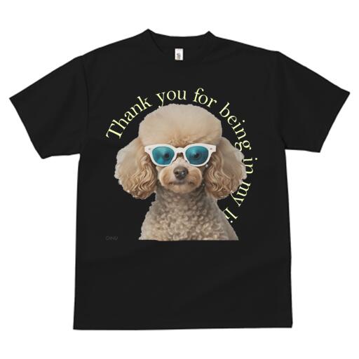 プードル Tシャツ 犬愛 ユニークデザインメンズ キッズ 犬ファン 半袖 春夏 プリント カジュアル