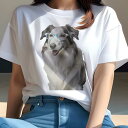 ボーダーコリー Tシャツ 犬愛 ユニークデザインレディース 犬ファン 半袖 春夏 プリント カジュアル かわいい 人間用 ギフト 個性的 メガネ ボーダーコリー(4)