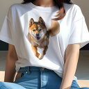 柴犬 Tシャツ 犬愛 ユニークデザインレディース 犬ファン 半袖 春夏 プリント カジュアル かわいい 人間用 ギフト 個性的 柴犬