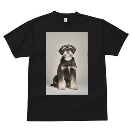 シーズー Tシャツ 犬愛 ユニークデザインレディース 犬ファン 半袖 春夏 プリント カジュアル かわいい 人間用 ギフト 個性的 メガネ シーズー
