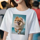 ポメラニアン Tシャツ 犬愛 ユニークデザインレディース 犬ファン 半袖 春夏 プリント カジュアル かわいい 人間用 ギフト 個性的 ビーチ ポメラニアン 海 夏 休暇