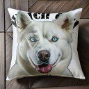 シベリアンハスキー クッションカバー 45×45cm アニマル柄 おしゃれ 可愛い クッション本体付き 正方形