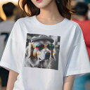 ゴールデンレトリバー Tシャツ 犬愛 ユニークデザインレディース 犬ファン 半袖 春夏 プリント 大人カジュアル かわいい 人間用 ギフト 個性的 猛暑対策 サングラス ゴールデンレトリバー 帽子