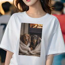 ダックスフンド Tシャツ 犬愛 ユニークデザインレディース 犬ファン 半袖 春夏 プリント 大人カジュアル かわいい 人間用 ギフト 個性的 猛暑対策 暖炉 ダックスフンド ブランケット