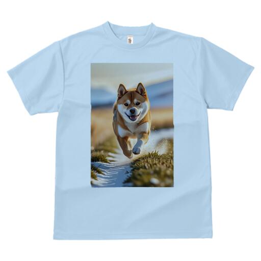 柴犬 Tシャツ 犬愛 ユニークデザインメンズ キッズ 犬ファン 半袖 春夏 プリント 大人カジュアル かわいい 人間用 ギフト 個性的 猛暑対策 雪 柴犬 草原 山