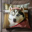 エプロン シベリアンハスキー チェック柄 クッションカバー 45×45cm アニマル柄 おしゃれ 可愛い クッ..