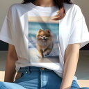 ポメラニアン Tシャツ 犬愛 ユニークデザインレディース 犬ファン 半袖 春夏 プリント 大人カジュアル かわいい 人間用 ギフト 個性的 猛暑対策 ビーチ ポメラニアン 海