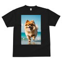 ポメラニアン Tシャツ 犬愛 ユニークデザインメンズ キッズ 犬ファン 半袖 春夏 プリント 大人カジュアル かわいい 人間用 ギフト 個性的 猛暑対策 海 ポメラニアン ビーチ 波 夏