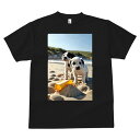 ダルメシアン Tシャツ 犬愛 ユニークデザインメンズ キッズ 犬ファン 半袖 春夏 プリント 大人カジュアル かわいい 人間用 ギフト 個性的 猛暑対策 ビーチ ダルメシアン 海 砂 夏