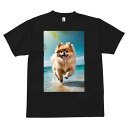 ポメラニアン Tシャツ 犬愛 ユニークデザインメンズ キッズ 犬ファン 半袖 春夏 プリント 大人カジュアル かわいい 人間用 ギフト 個性的 猛暑対策 ビーチ ポメラニアン 海 夏 休暇