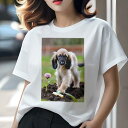 アフガンハウンド Tシャツ 犬愛 ユニークデザインレディース 犬ファン 半袖 春夏 プリント 大人カジュアル かわいい 人間用 ギフト 個性的 猛暑対策 花 アフガンハウンド 庭 土