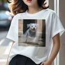 不明 Tシャツ 犬愛 ユニークデザインレディース 犬ファン 半袖 春夏 プリント 大人カジュアル かわいい 人間用 ギフト 個性的 猛暑対策 幽霊 不明 ハロウ...