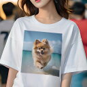 ポメラニアン Tシャツ 犬愛 ユニークデザインレディース 犬ファン 半袖 春夏 プリント 大人カジュアル かわいい 人間用 ギフト 個性的 猛暑対策 海 ポメラニアン ビーチ 夏 休暇