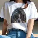 バーニーズマウンテンドッグ Tシャツ 犬愛 ユニークデザインレディース 犬ファン 半袖 春夏 プリント 大人カジュアル かわいい 人間用 ギフト 個性的 猛暑対策 バーニーズマウンテンドッグ