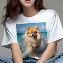 ポメラニアン Tシャツ 犬愛 ユニークデザインレディース 犬ファン 半袖 春夏 プリント 大人カジュアル かわいい 人間用 ギフト 個性的 猛暑対策 海 ポメラニアン ビーチ 夏 休暇