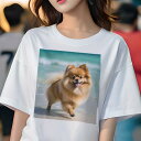 ポメラニアン Tシャツ 犬愛 ユニークデザインレディース 犬ファン 半袖 春夏 プリント 大人カジュアル かわいい 人間用 ギフト 個性的 猛暑対策 海 ポメラニアン ビーチ 夏 休暇