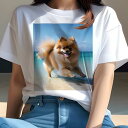 ポメラニアン Tシャツ 犬愛 ユニークデザインレディース 犬ファン 半袖 春夏 プリント 大人カジュアル かわいい 人間用 ギフト 個性的 猛暑対策 海 ポメラニアン 砂浜 夏 休暇
