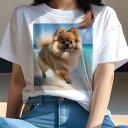 ポメラニアン Tシャツ 犬愛 ユニークデザインレディース 犬ファン 半袖 春夏 プリント 大人カジュアル かわいい 人間用 ギフト 個性的 猛暑対策 ビーチ ポメラニアン 海 夏 休暇