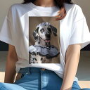 ダルメシアン Tシャツ 犬愛 ユニークデザインレディース 犬ファン 半袖 春夏 プリント 大人カジュアル かわいい 人間用 ギフト 個性的 猛暑対策 コスチューム ダルメシアン