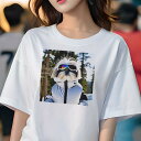 シーズー Tシャツ 犬愛 ユニークデザインレディース 犬ファン 半袖 春夏 プリント 大人カジュアル かわいい 人間用 ギフト 個性的 猛暑対策 スキーウェア シーズー スキーゴーグル 雪山 冬