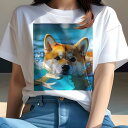 柴犬 Tシャツ 犬愛 ユニークデザインレディース 犬ファン 半袖 春夏 プリント 大人カジュアル かわいい 人間用 ギフト 個性的 猛暑対策 水 柴犬 プール