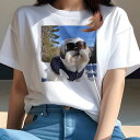 シーズー Tシャツ 犬愛 ユニークデザインレディース 犬ファン 半袖 春夏 プリント 大人カジュアル かわいい 人間用 ギフト 個性的 猛暑対策 雪 シーズー スキーゴーグル 冬 アウトドア