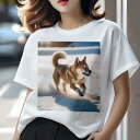柴犬 Tシャツ 犬愛 ユニークデザインレディース 犬ファン 半袖 春夏 プリント 大人カジュアル かわいい 人間用 ギフト 個性的 猛暑対策 雪 柴犬 冬 日光