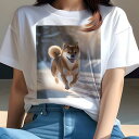 柴犬 Tシャツ 犬愛 ユニークデザインレディース 犬ファン 半袖 春夏 プリント 大人カジュアル かわいい 人間用 ギフト 個性的 猛暑対策 雪 柴犬 冬 太陽