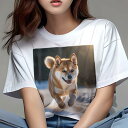 柴犬 Tシャツ 犬愛 ユニークデザインレディース 犬ファン 半袖 春夏 プリント 大人カジュアル かわいい 人間用 ギフト 個性的 猛暑対策 雪 柴犬 冬 太陽 光