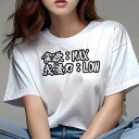 Tシャツ 面白Tシャツ ダイエット 格言 トレーニング ギフト ユニークデザイン レディース 半袖 春夏 プリント 猛暑対策 人間用 MAX LOW