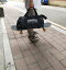スケートボード ケース ストリート系 ヒップホップ バッグ おしゃれ 肩掛け 手提げ 小さめ メンズ レディース スポーツ アウトドア ベルト ボストンバッグ 黒