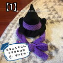 猫 コスチューム ハロウィーン ハット 帽子 ペット用品 コスプレ パーティー 服 衣装 変身 グッズ 写真 かわいい おしゃれ 着せ替え パンプキン かぼちゃ