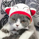 猫の帽子 うさぎの耳 ペット 猫の帽子 かわいい犬の帽子 猫の帽子 ドレスアップ スカーフ 日焼け止め ビブラート