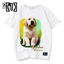 Tシャツ 犬柄 ゴールデン レトリバー かわいい犬のパターン 半袖 プリント シャツ 犬のファンの小さなシャツ