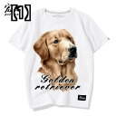 Tシャツ 犬柄 ゴールデン レトリバー 犬のパターン 半袖 シャツ 犬のファン シャツ