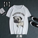 Tシャツ 犬柄 犬のパターン パグ 犬 半袖