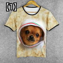 Tシャツ 犬柄 印刷されたシャツ チワワの服 かわいい半袖 かわいいカップルTシャツ