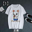 Tシャツ 犬柄 ブルドッグ柄 シャツ 犬 柄 半袖